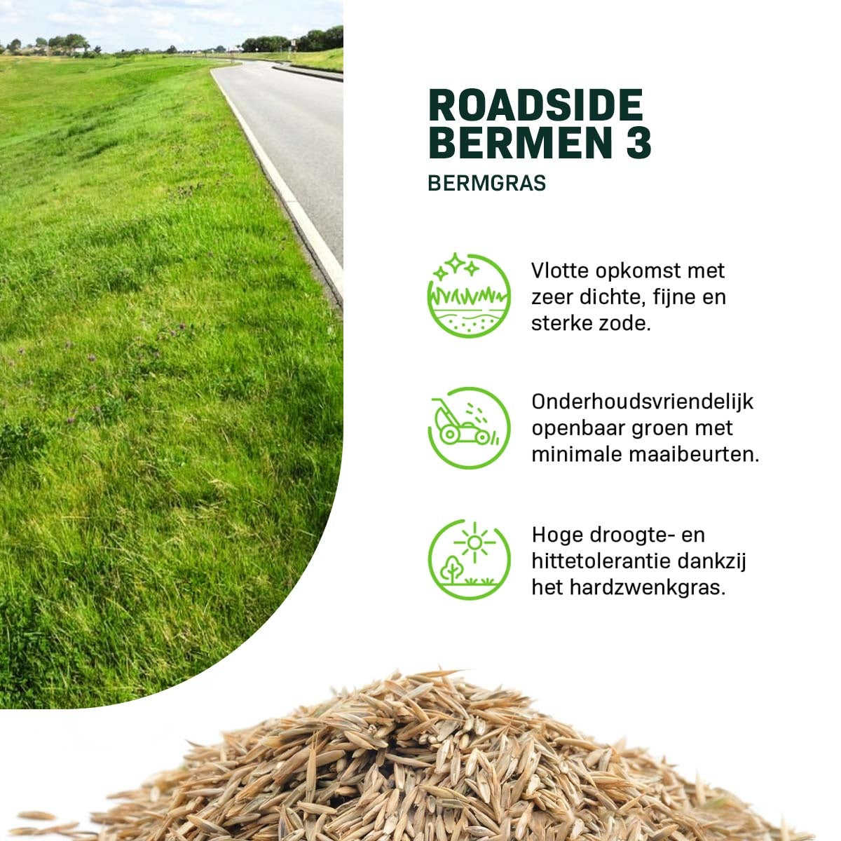 MRS Seeds & Mixtures Roadside - Bermen 3 | Bermgras 15KG [nl]