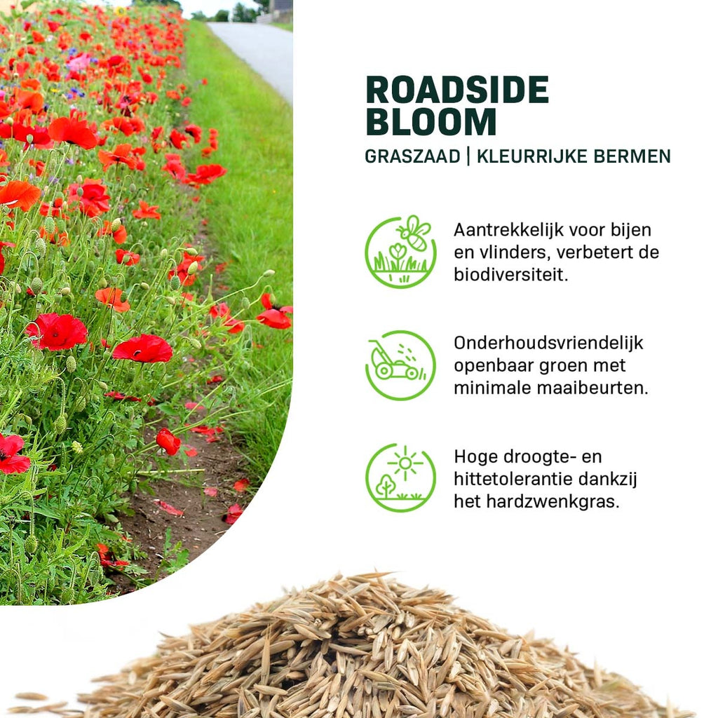 MRS Seeds & Mixtures Roadside Bloom - Graszaad | Kleurrijke Bermen [nl]