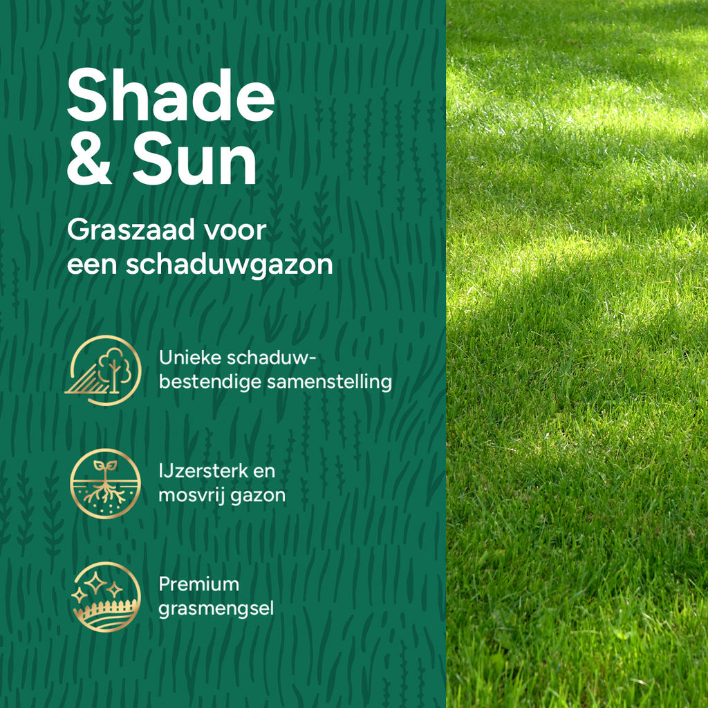 MRS Seeds & Mixtures Shade & Sun Premium - Graszaad schaduwgazon 10KG [nl]