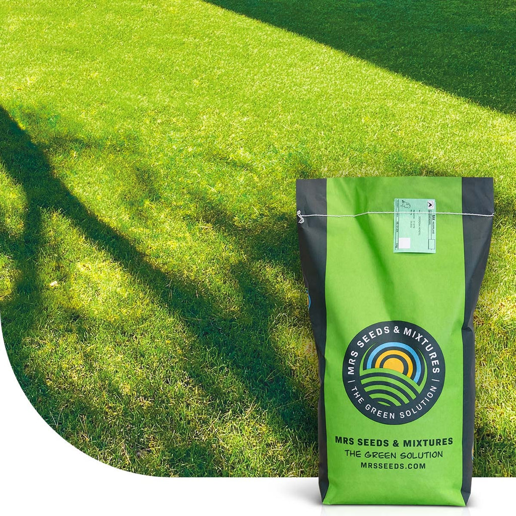 MRS Seeds & Mixtures Shade & Sun - Schaduwgazon graszaad