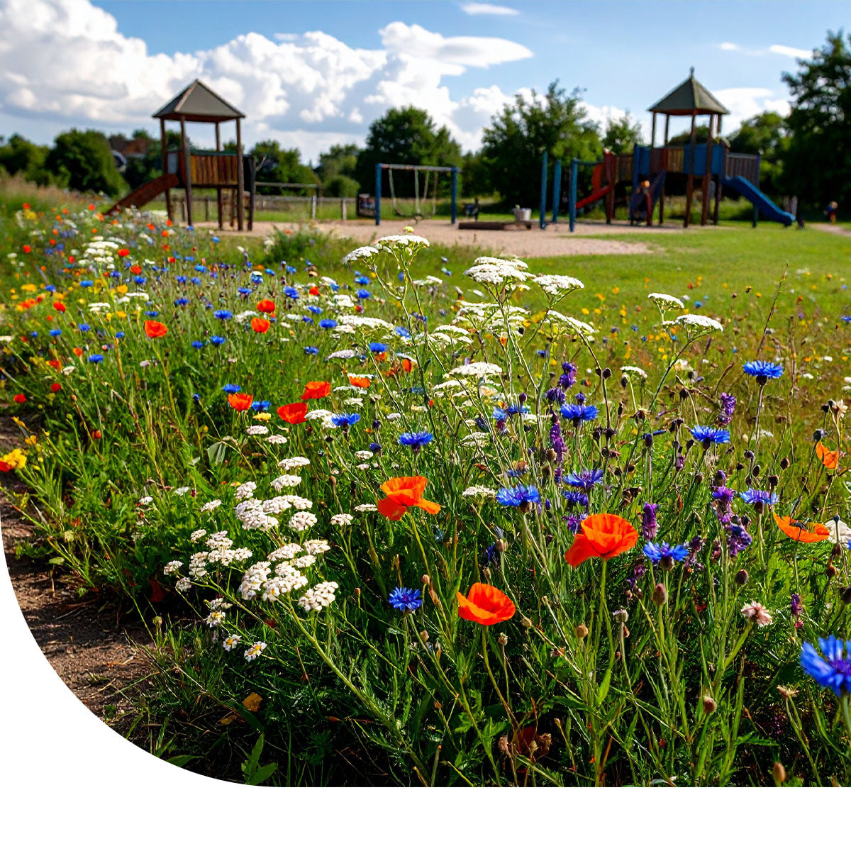 MRS Seeds & Mixtures Speelweide Natuurmengsel - Type S1 [nl]