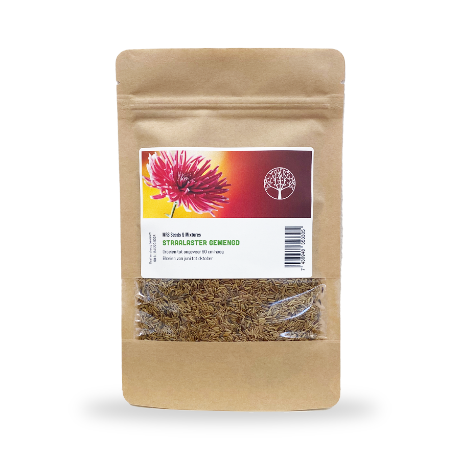 MRS Seeds & Mixtures Straalaster - Callistephus chinensis