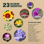 MRS Seeds & Mixtures Vlinderbloemenmengsel één-  en meerjarig [nl]