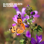 MRS Seeds & Mixtures Vlinderbloemenmengsel één-  en meerjarig [nl]
