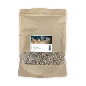 MRS Seeds & Mixtures Winterrogge [nl]