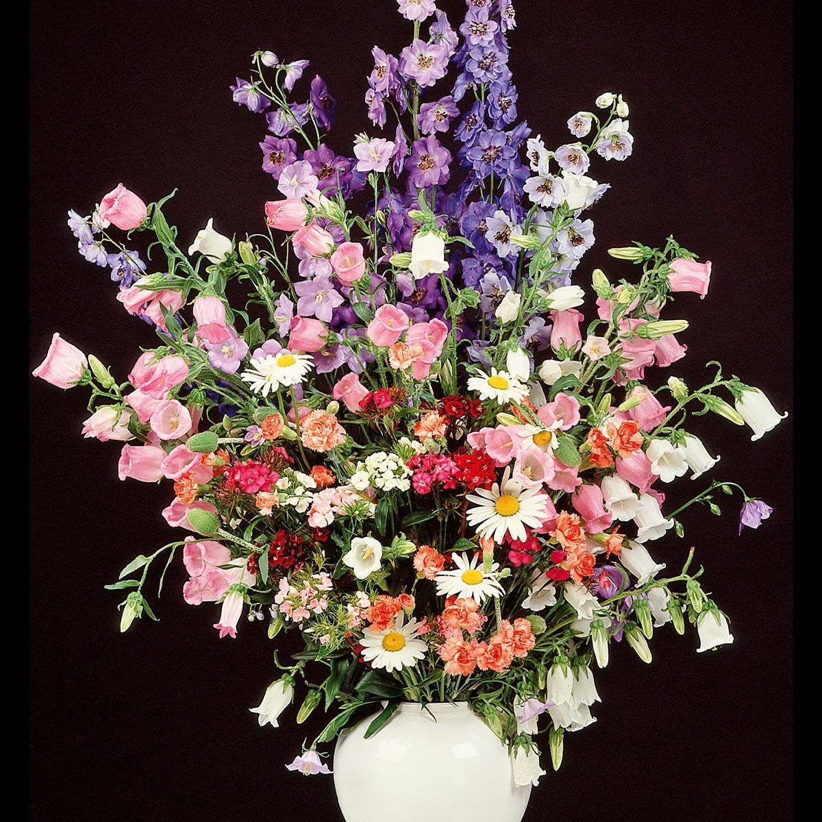 MRS Seeds & Mixtures Zomerbloemenmengsel Hoog - Meerjarig