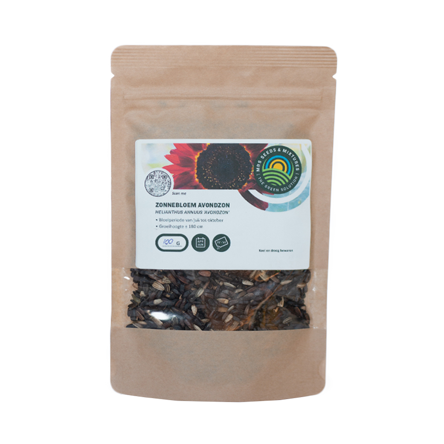 MRS Seeds & Mixtures Zonnebloem "Avondzon"