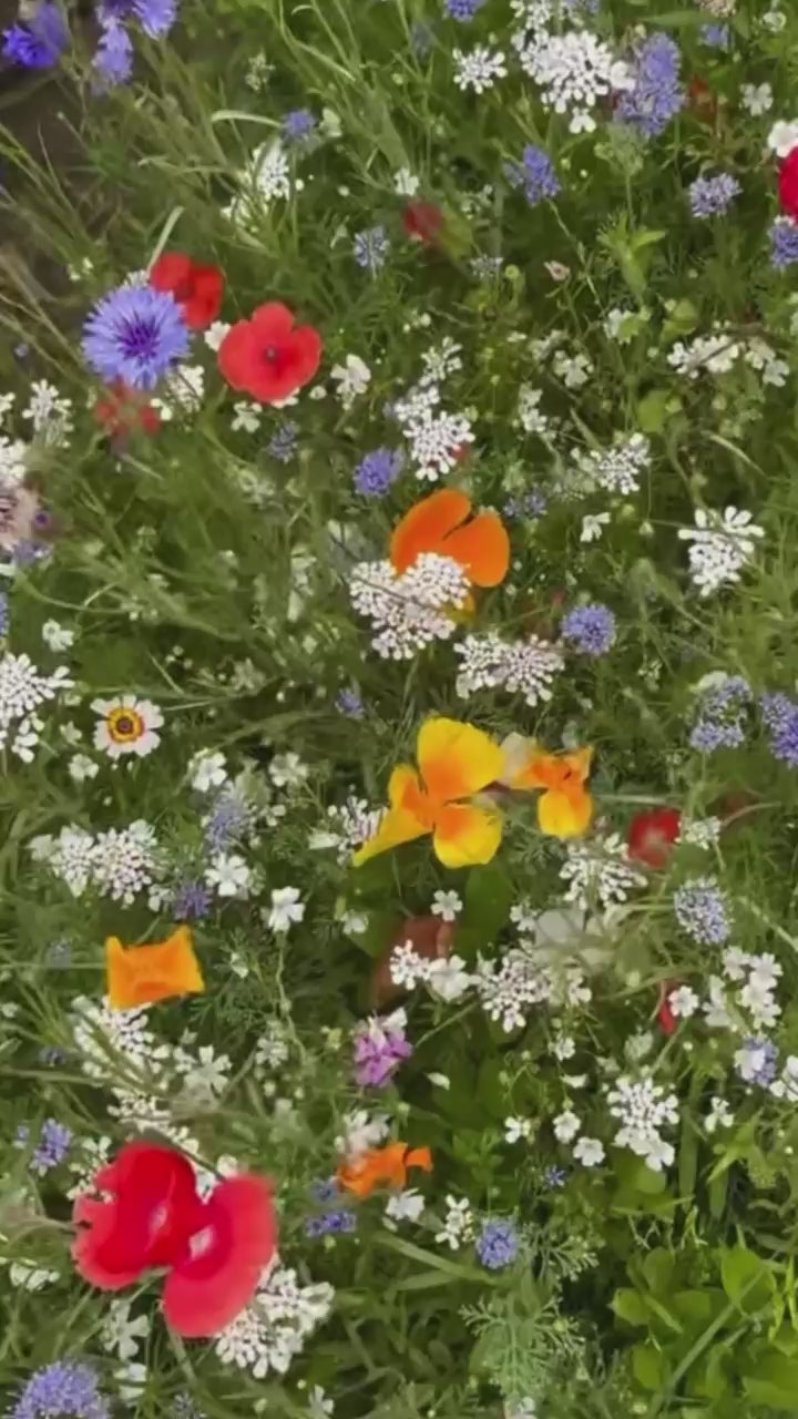 bloemenmengsel-b49100