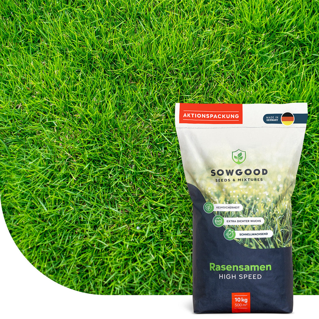 Sowgood Semences de gazon pour regarnissage 10 kg - 500 m²