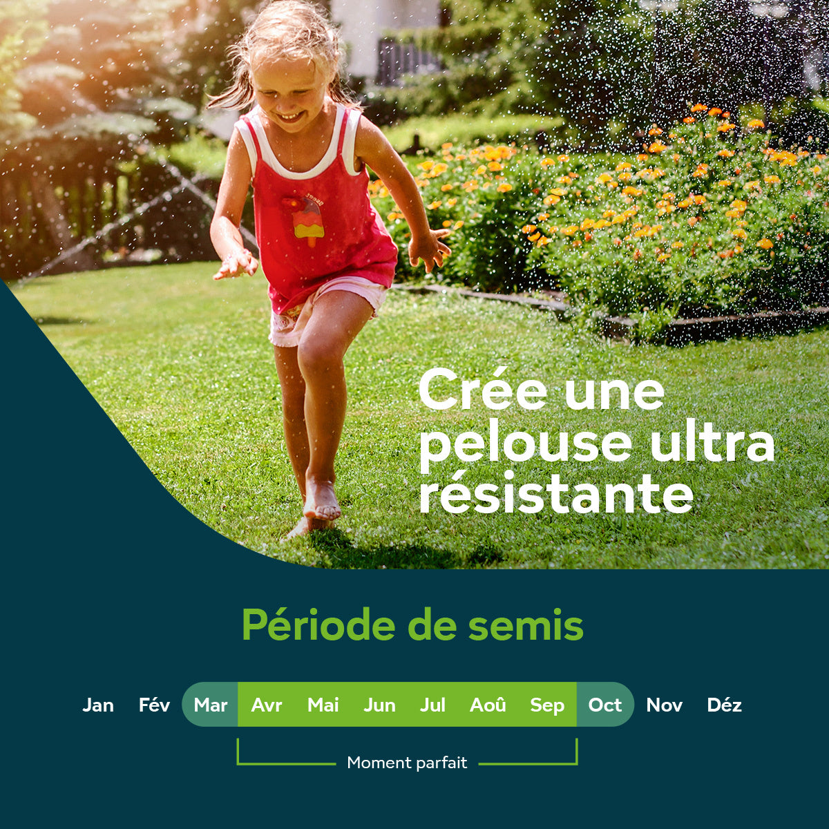 Sowgood Semences de gazon pour regarnissage 10 kg - 500 m² [fr]