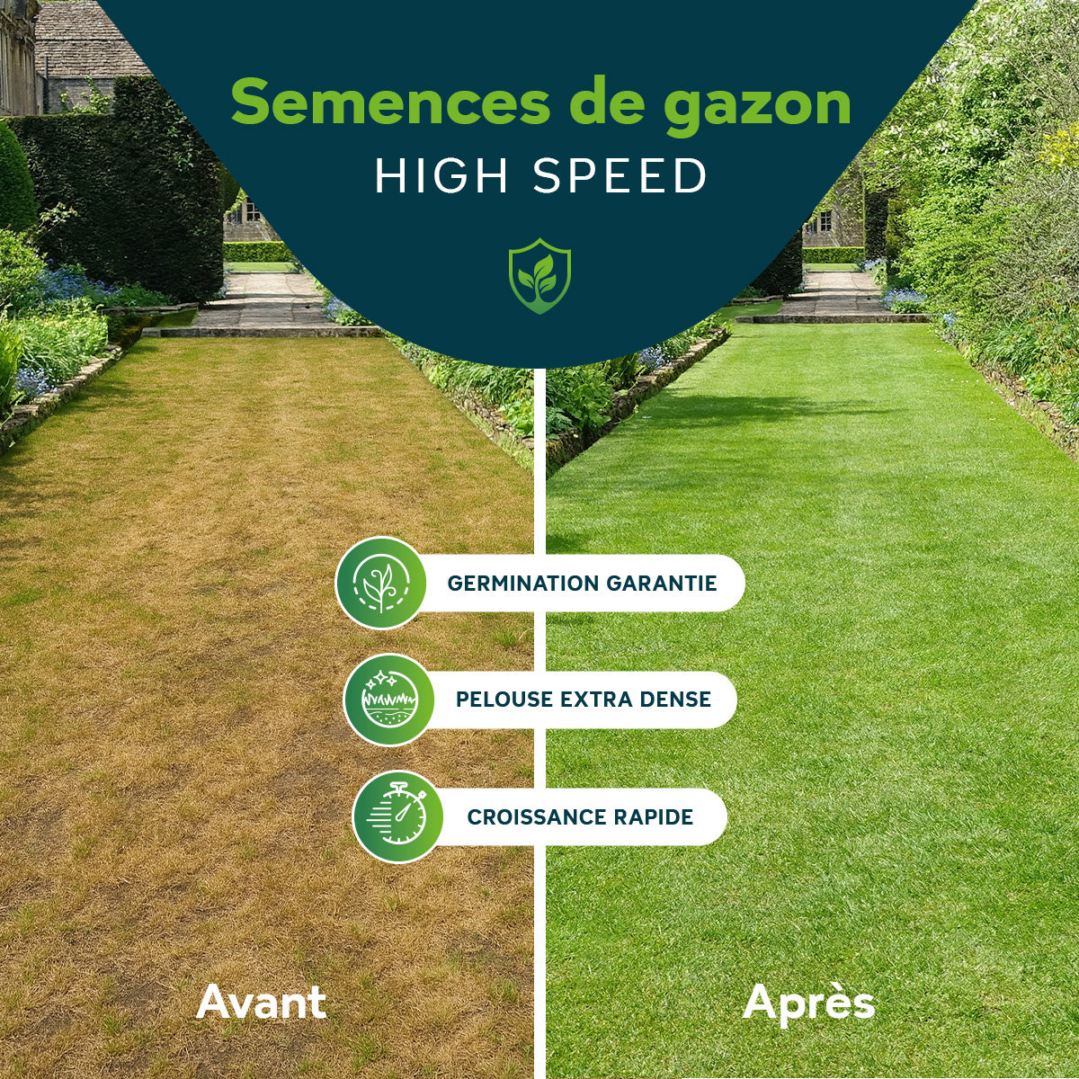 Sowgood Semences de gazon pour regarnissage 10 kg - 500 m² [fr]