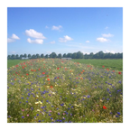 Ten Have Functionele Agro Biodiversiteit (FAB) mengsel [nl]