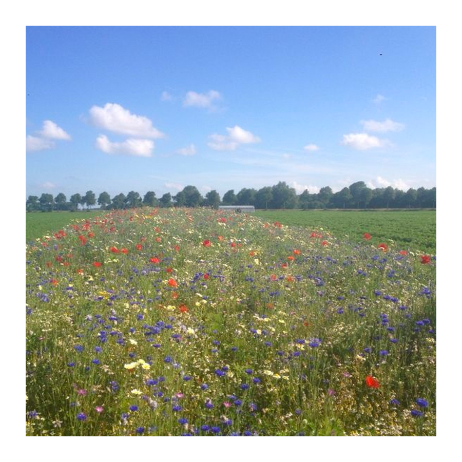Ten Have Functionele Agro Biodiversiteit (FAB) mengsel [nl]